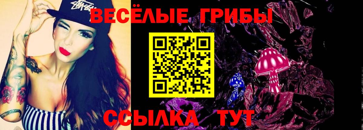магазин  наркотиков  Галлюциногенные грибы Psilocybe  Вход с VPN  Гусь-Хрустальный 